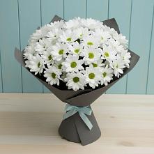 Букет цветов из:  Хризантемы #REPLACE_PRED# Кувшиново