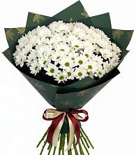 Букет цветов из:  Хризантемы #REPLACE_PRED# Кувшиново