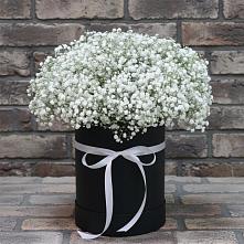 Цветочная композиция из Гипсофила в шляпной коробке в Кувшиново