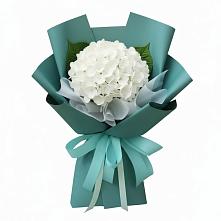 Букет цветов из:  Гортензия #REPLACE_PRED# Кувшиново